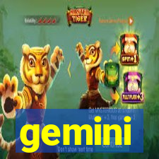 gemini-pp.com