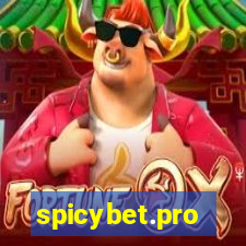 spicybet.pro
