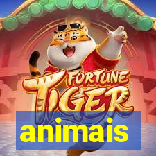 animais-pg.com