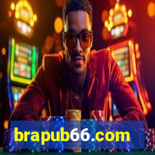brapub66.com