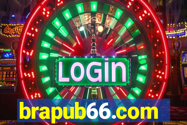 brapub66.com