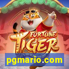 pgmario.com