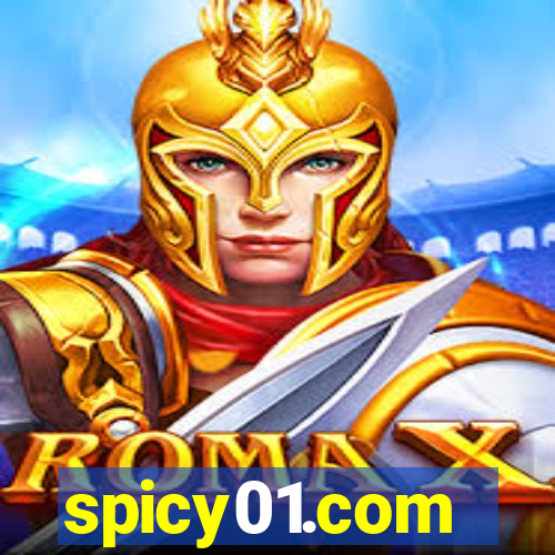 spicy01.com