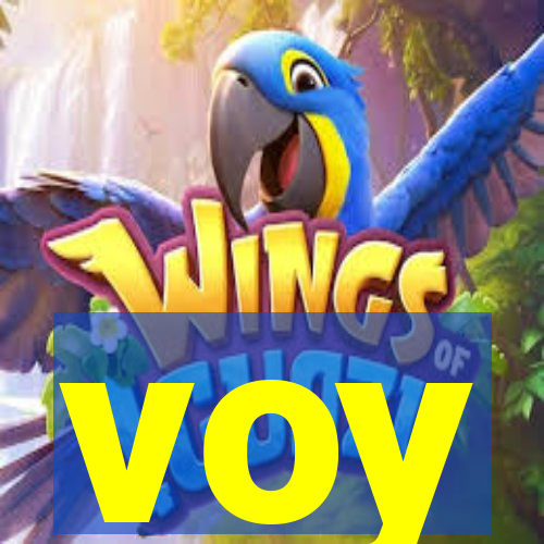voy-potterypg.com
