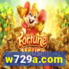 w729a.com
