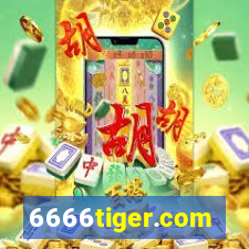 6666tiger.com